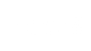 dyna_logo_white_wide